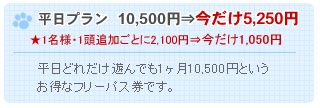 平日プラン