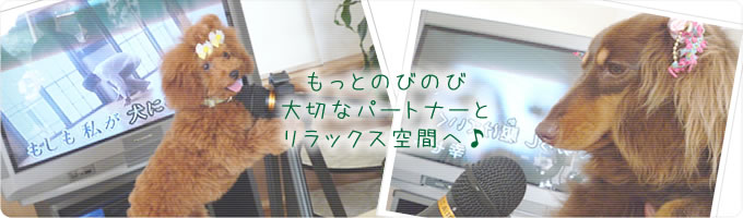 もっとのびのび　大切なパートナーとリラックス空間へ