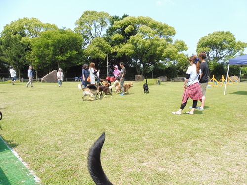 P1010098.JPG