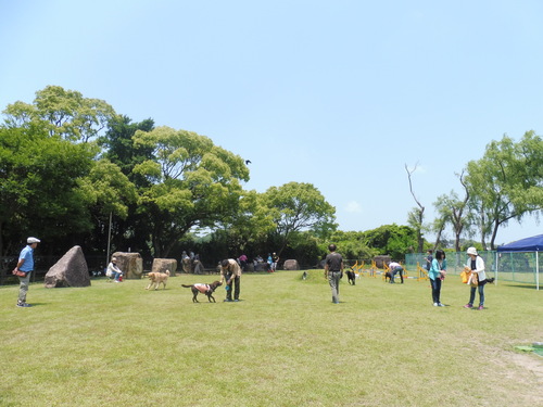 P1010121.JPG