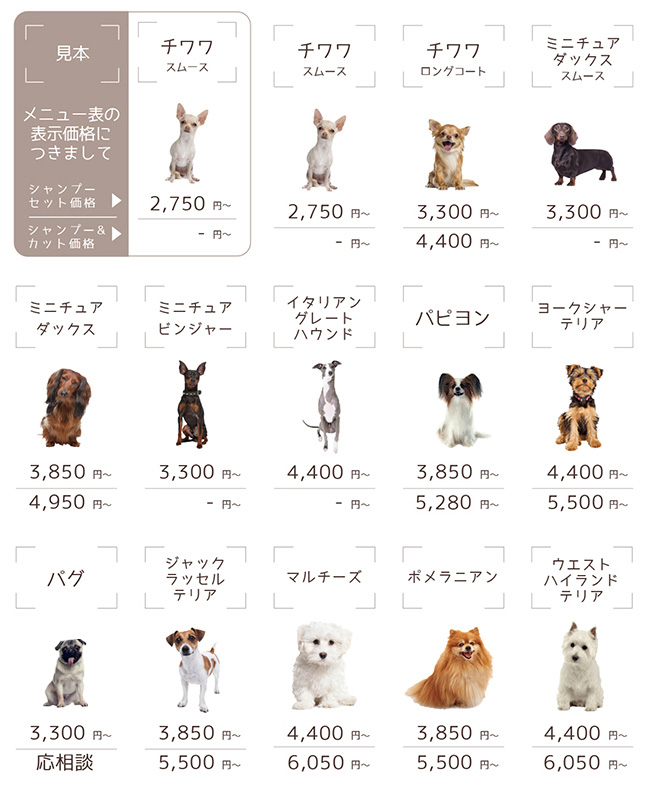 犬種別メニュー