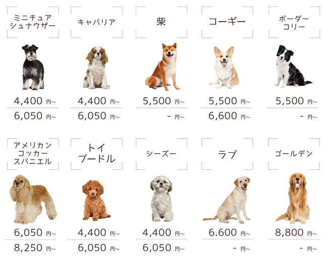 犬種別メニュー